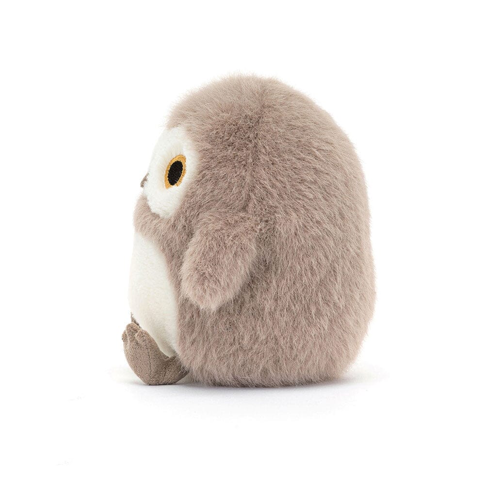 Ollie the Barn Owlet