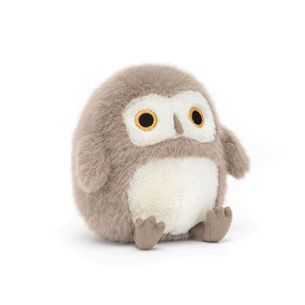 Ollie the Barn Owlet