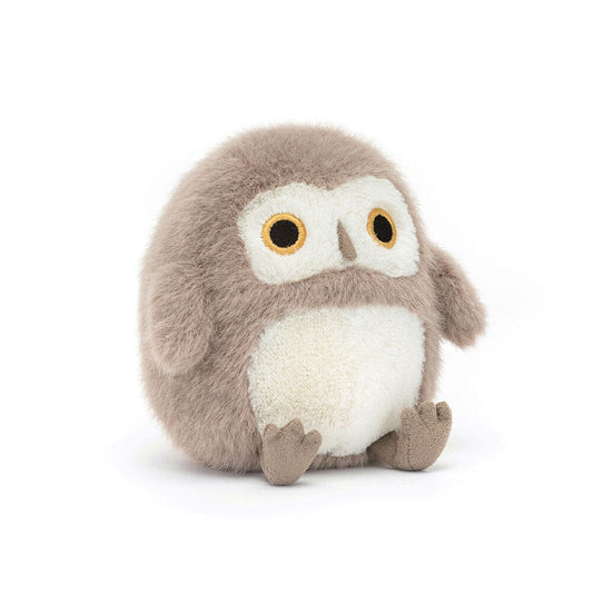 Ollie the Barn Owlet